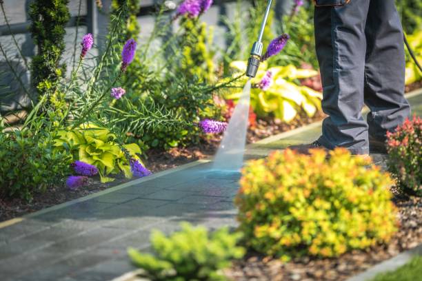Conroe, TX  Pressure Washing Services Company