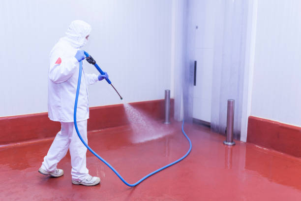 Best Rust Removal  in Conroe, TX